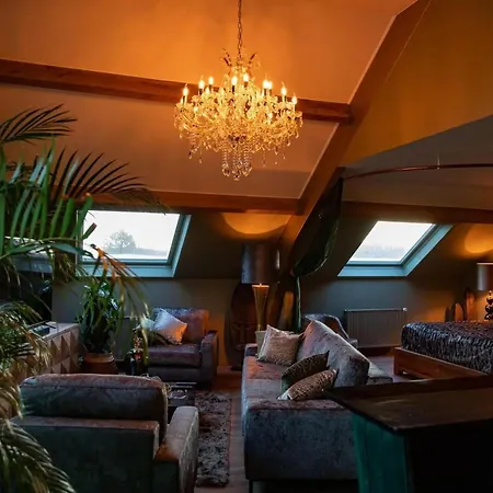 Villa With Private Pool In 350 M² Hamois
